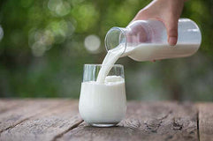 Fresh Milk