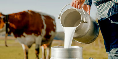 Fresh Milk