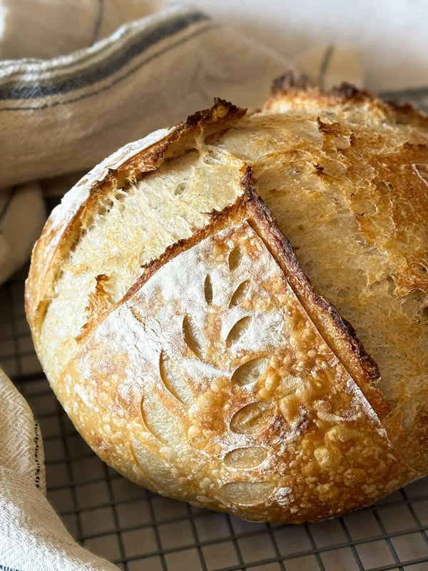 Flor De Harina Jalapeno Cheddar Sourdough Loaf